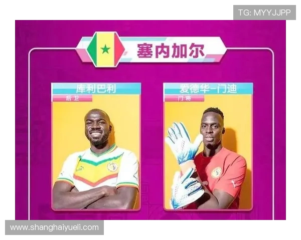 围绕世界杯解析全球足球文化演变趋势及其深远社会经济影响力展示