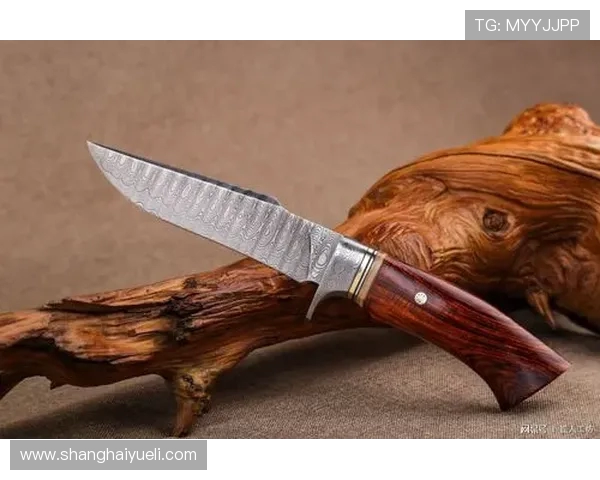 因戈施塔尔挑战拜仁慕尼黑能否打破强队神话的精彩对决