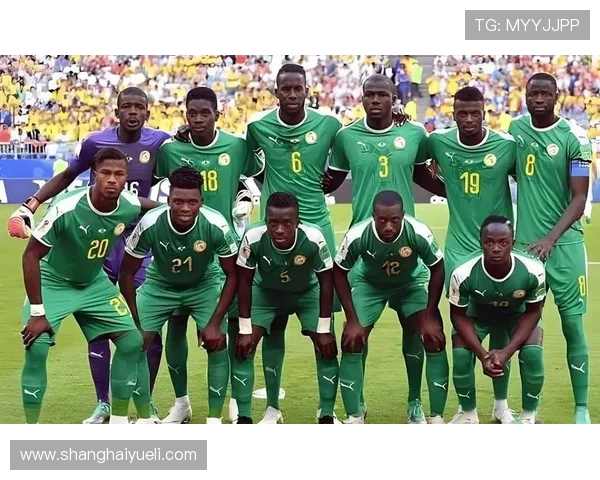 塞内加尔与贝宁足球对决分析及胜负推荐详解